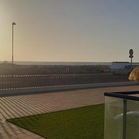 Cotillosurfview