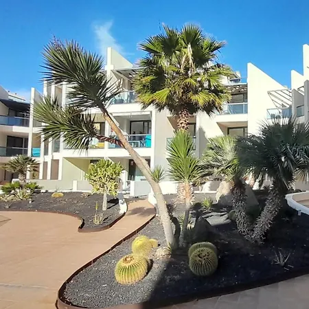Cotillosurfview